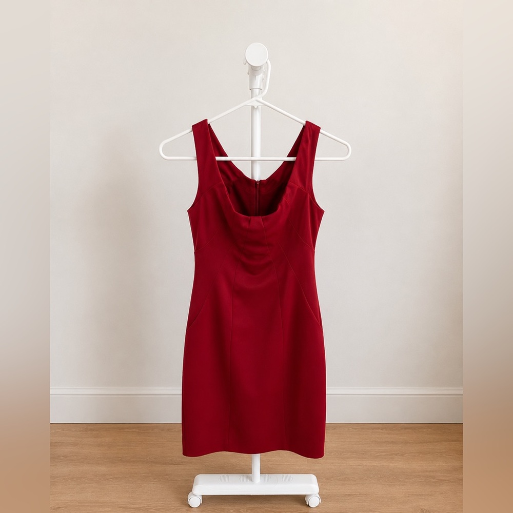 The Limited Red Scoop Neck Mini Dress